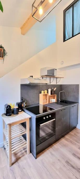 Le Duplex Catherine - Metro - Gare - Wifi Apartman Toulouse Kültér fotó