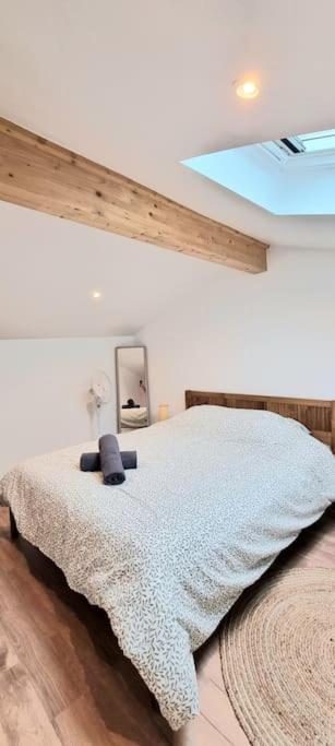 Le Duplex Catherine - Metro - Gare - Wifi Toulouse Kültér fotó