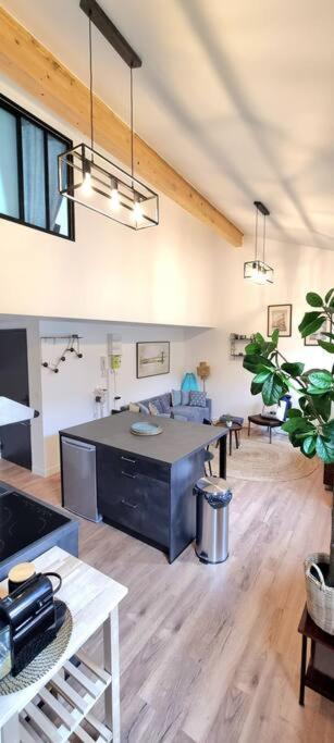 Le Duplex Catherine - Metro - Gare - Wifi Toulouse Kültér fotó