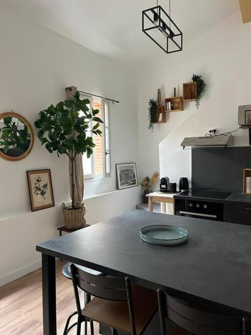 Le Duplex Catherine - Metro - Gare - Wifi Toulouse Kültér fotó